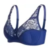 Deep blue lace non-ribbed gathering bra, comfortable and breathable women's underwear Item Picture